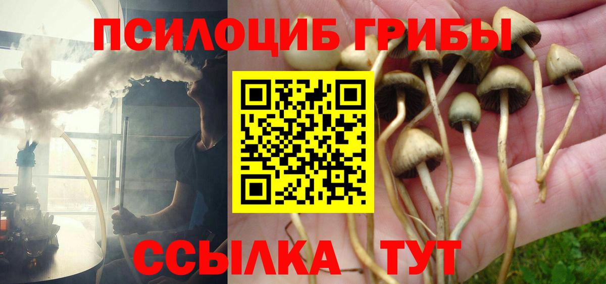 Галлюциногенные грибы мухоморы Ангарск