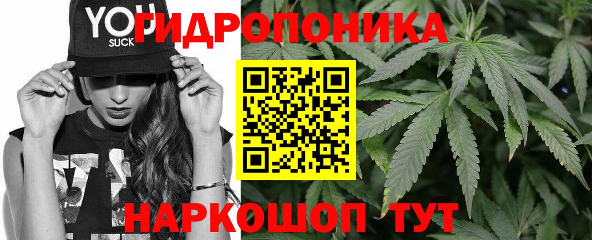 Канабис White Widow  Канабис Bruce Banner  Бошки марихуана планчик  Ангарск  Вход с VPN 